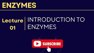 INTRODUCTION TO ENZYMES [upl. by Annawoj]