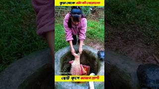 How to build wells for fish rearing 💯 shorts gadgets [upl. by Lamond97]