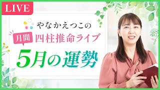 【2024年5月5日 己巳つちのとみの日】強い金運が巡ってくる！？｜毎月、運勢の移り変わりの時期にお届け、四柱推命月間運勢ライブ 〜５月の運勢〜 [upl. by Lahey]