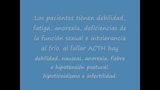 sistema endocrinopiz1wmv [upl. by Ibby]