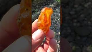 Nice carnelian with some botryoidal action carnelian agate rockhounding gemstone pnw crystals [upl. by Lessig532]