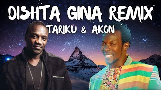 Dishta Gina Remix lyrics  Tariku amp Akon [upl. by Nnail903]