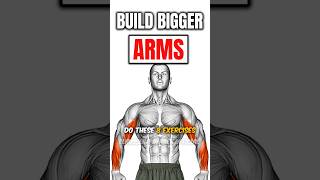 8 Bigger Arms Exercises💪 Powerful Arms Workout [upl. by Nosidda949]