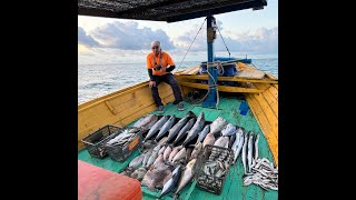 Caught many fish in Malaysia water of Sedili Tekong Faizal Fishing Trip 1 Ep 24 [upl. by Albur923]