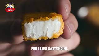 Bastoncini di Capitan Findus – Una Leggenda Inimitabile [upl. by Eeclehc]