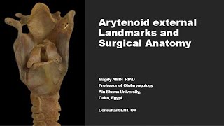 Arytenoid external Landmarks and Surgical Anatomy [upl. by Maiah319]