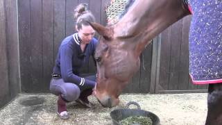 Alice amp Fabs diary  time for Tubby byebye  Video Diary  Horse amp Hound [upl. by Nodal649]