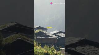 Exploring the Mysterious HIMALAYAN RANGE viralvideo himalayas mountains travel trending [upl. by Araminta]