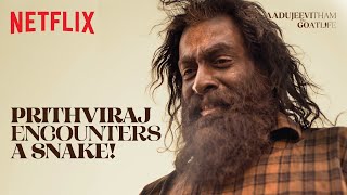 Prithviraj NARROWLY ESCAPES a DEADLY Snake  Aadujeevitham  Netflix India [upl. by Valenta]