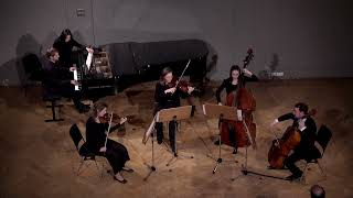 Schubert  Forellenquintett  Trout Quintett  1 Satz  1st Movement [upl. by Jagir]