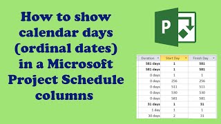 How to show calendar days ordinal dates in a Microsoft Project schedule columns [upl. by Nailliw]