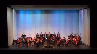 Volkmann  Symphony No 1 1st Movement [upl. by Bully]