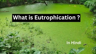 Eutrophication in hindi [upl. by Aroon]