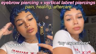 eyebrow piercing  vertical labret piercing update ♡ experience pain healing amp aftercare [upl. by Rekab]