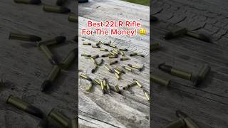 BEST 22LR Rifle To BUY [upl. by Nylatsyrc]