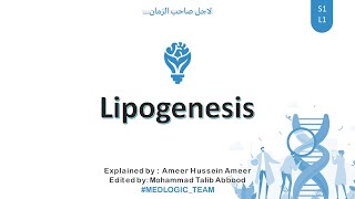 Lipogenesis Fatty Acid synthesis Part 1 [upl. by Herod]