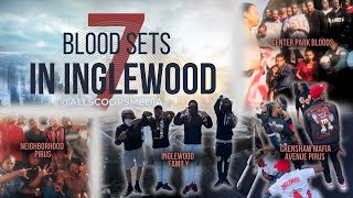 7 Dominant BloodPiru Sets In Inglewood [upl. by Nivek673]