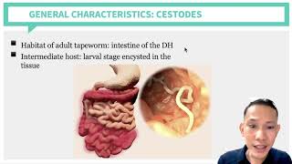 Parasitology Cestodes Part 1 [upl. by Atenaz]