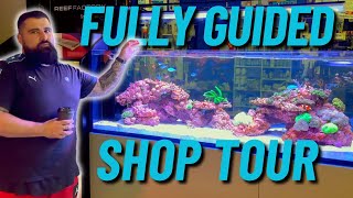 LFS Tour  Lifestyle Aquariums and Reptiles [upl. by Nylasoj]