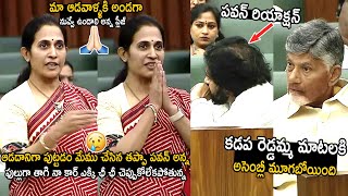 Whole Assembly Was Silent Over MLA Madhavi Reddy Words  Pawan Kalyan  Telugu Cinema Brother [upl. by Ahtabbat913]