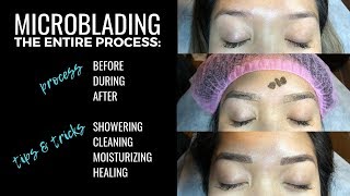 Microblading My Eyebrows Full Process Before During amp After [upl. by Cence]