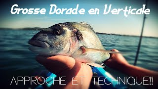 🔥🔥Grosse Dorade en verticale  Approche technique 🦐🦐bateau  kayak fishing bigfish seafishing [upl. by Etakyram]