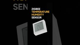 Smart Home Zigbee Temperature and Humidity Sensor [upl. by Dolf427]