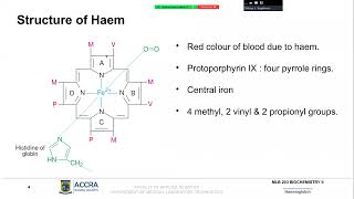 Hemoglobin I [upl. by Leeke387]