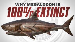 Why Megalodon is 100 EXTINCT [upl. by Eyahs]