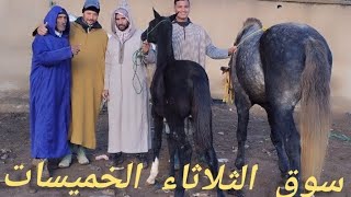 سوق الثلاثاء الخميسات مع دريس موزون بتاريخ 29102024 [upl. by Goldin]