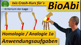 STAMMBÄUME ERSTELLEN  HOMOLOGIE ANALOGIE UND MOLEKULARE METHODEN  Biologie  Evolutionsbiologie [upl. by Snyder]