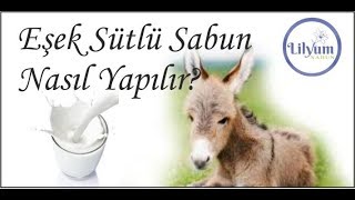 EŞEK SÜTLÜ SABUN NASIL YAPILIR  Lilyum Sabun [upl. by Allina892]