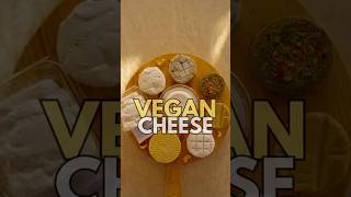 Testing Vegan Cheese [upl. by Imailiv]