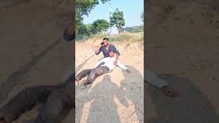 Khilega Puri fire Comedy funny video himanshu funny comedy video short [upl. by Alledi]