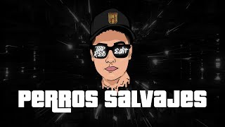 Gonza BR  Perros Salvajes Turreo Edit [upl. by Anayet]