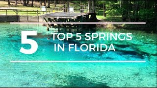 TOP 5 SPRINGS in FLORIDA with a CAMPGROUND [upl. by Tati]