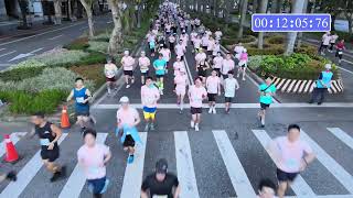 【4K】2024國家地理路跑活動半馬21Km組 2024 RUN FOR EARTH Half Marathon 21Km [upl. by Nowyt]