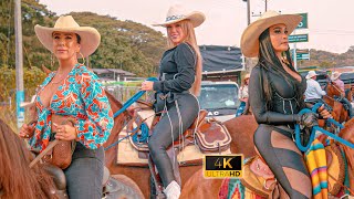 Gran Cabalgata en las Fiestas de Zarzal  Valle 😍 COLOMBIA 2024 [upl. by Trinetta]