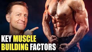 The MOST Important Factors in Building Muscle–Beyond Dietary Protein [upl. by Arie985]