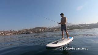 Las Gaviotas Kelp Fishing [upl. by Mariande248]