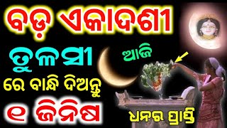 12 November Ekadashi 2024ବଡ଼ ଏକାଦଶୀ ଦିନ ତୁଳସୀ ଗଛରେ ବାନ୍ଧି ଦିଅନ୍ତୁ ୧ ଗୁପ୍ତ ଜିନିଷସବୁ ଦୁଃଖ ଦୂର ହେବ [upl. by Behnken]