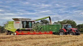 Harvest 24 Colemans [upl. by Sergent]