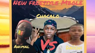 Chacalo la Blessure vs Pt Animal vs Pt Daïchi New freestyle Les jeunes talents du Mbolé 237 [upl. by Atteirneh412]