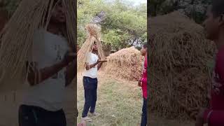 Bagadbilla ki new video😂😂funny shortsfeed comedy trendingvideo ।।funny comedy [upl. by Llirred]