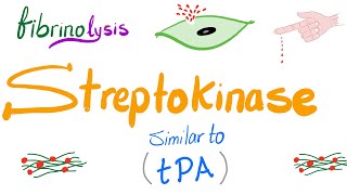 Fibrinolytic Therapy Let’s Destroy the Clot [upl. by Aicxela1]