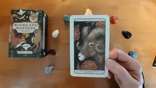 Woodland Wardens Oracle Deck Flipthrough and Timeless Card Reading [upl. by Ru]