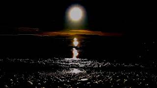 Ocean Sounds and Relaxing Music for Deep Sleeping  Moonlight Waves Stress Relief Nervous System [upl. by Nam]