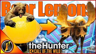 When a Bear Hunt Gives You Lemons  HUGE Diamond Moose on a 🍋 Bear Hunt [upl. by Amling7]