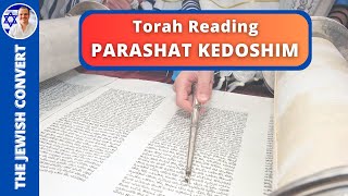 PARASHAT KEDOSHIM  Weekly Torah Reading in Hebrew amp English Translation  TORAH STUDY [upl. by Brady]