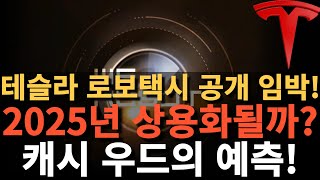 테슬라 로보택시 공개 임박 2025년 상용화될까 캐시 우드의 예측 [upl. by Wickman]